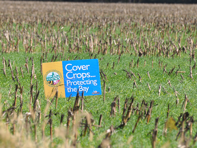 USDA on Thursday announced $72.3 million in Environmental Quality Incentive Program (EQIP) funding to target soil health and nutrient stewardship, such as promoting cover crops. (DTN file photo by Chris Clayton)